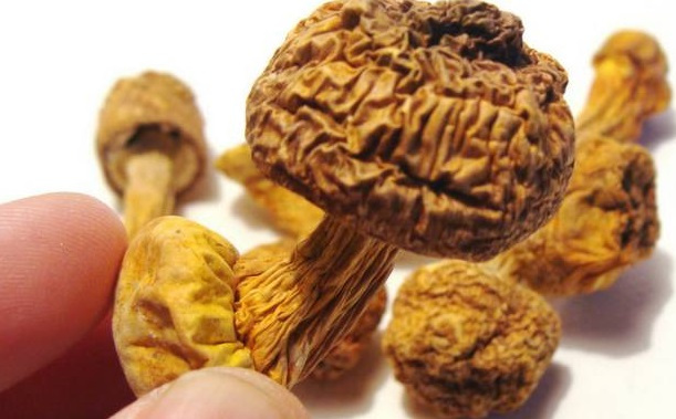 煙臺(tái)除濕機(jī) 煙臺(tái)除濕機(jī)