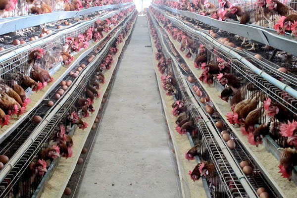 吸附式除濕機(jī)好嗎？