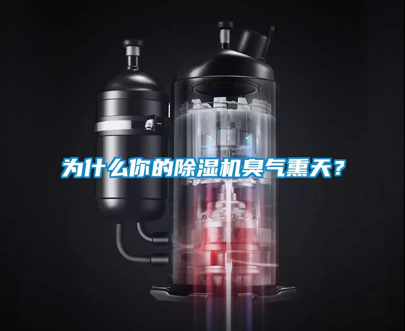 為什么你的除濕機臭氣熏天?