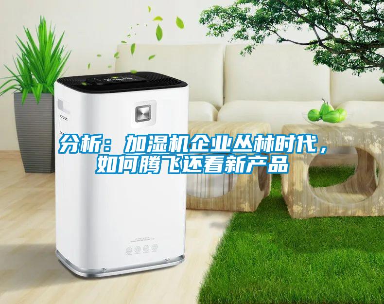 分析：加濕機企業叢林時代，如何騰飛還看新產品