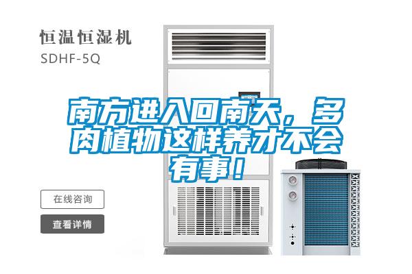 南方進入回南天,多肉植物這樣養(yǎng)才不會有事!