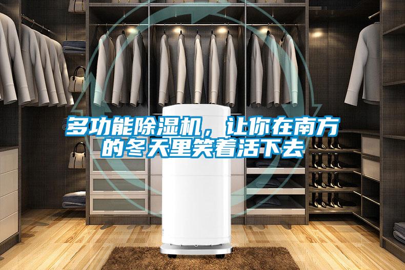 多功能除濕機(jī),讓你在南方的冬天里笑著活下去
