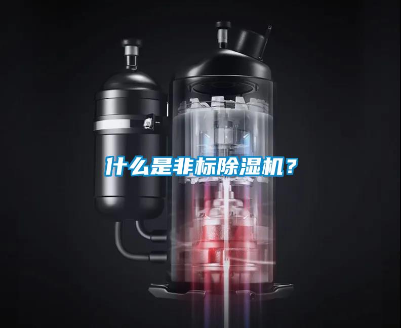 什么是非標(biāo)除濕機(jī)?