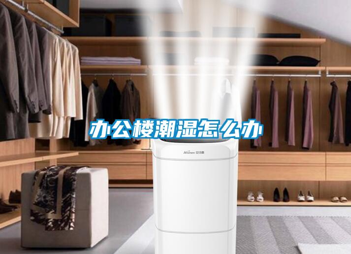 辦公樓潮濕怎么辦