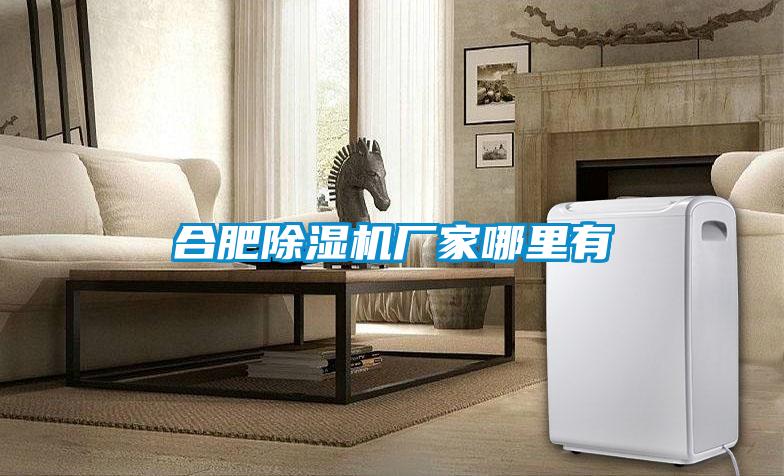 合肥除濕機廠家哪里有
