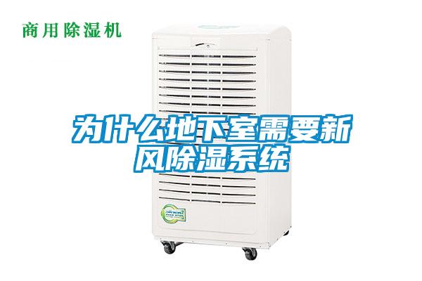 為什么地下室需要新風除濕系統