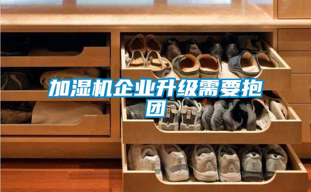 加濕機(jī)企業(yè)升級需要抱團(tuán)