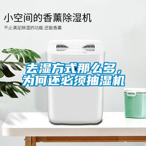 去濕方式那么多,為何還必須抽濕機