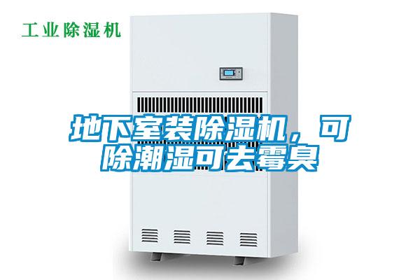 地下室裝除濕機,可除潮濕可去霉臭