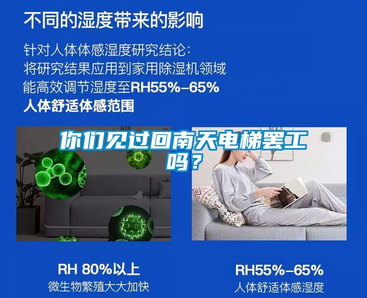 你們見過回南天電梯罷工嗎？