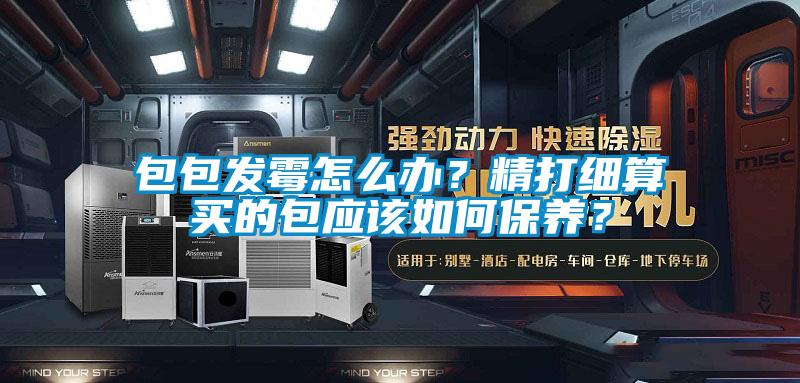 包包發(fā)霉怎么辦?精打細算買的包應該如何保養(yǎng)?