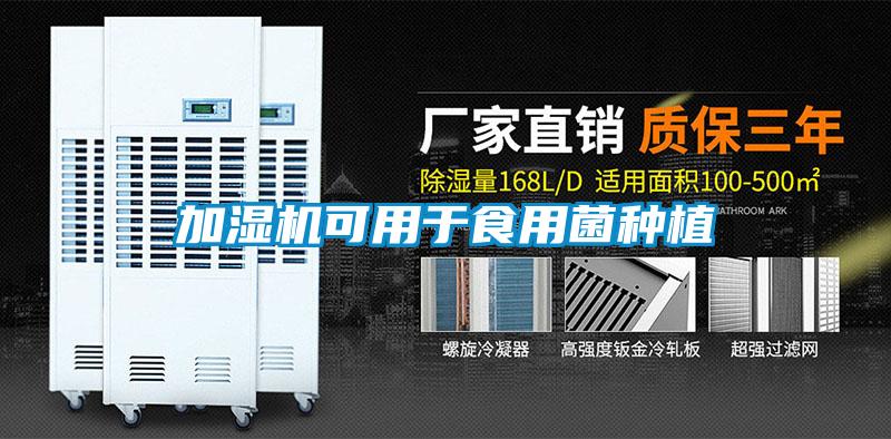 加濕機可用于食用菌種植