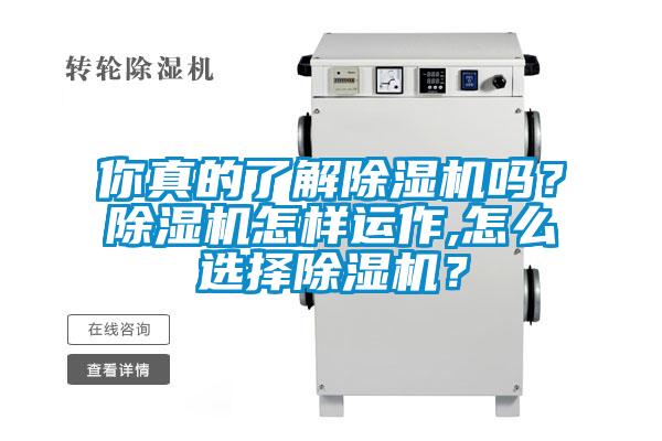 你真的了解除濕機嗎?除濕機怎樣運作,怎么選擇除濕機?