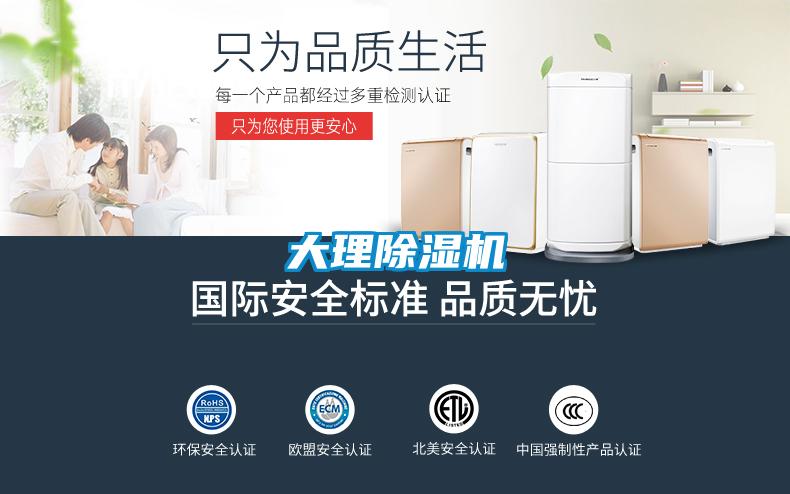 大理除濕機