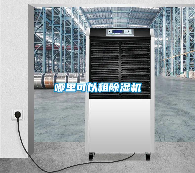 哪里可以租除濕機