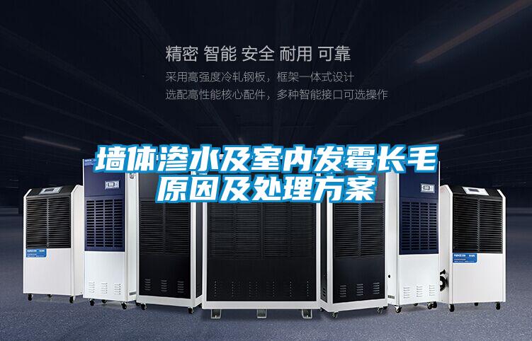 墻體滲水及室內發霉長毛原因及處理方案