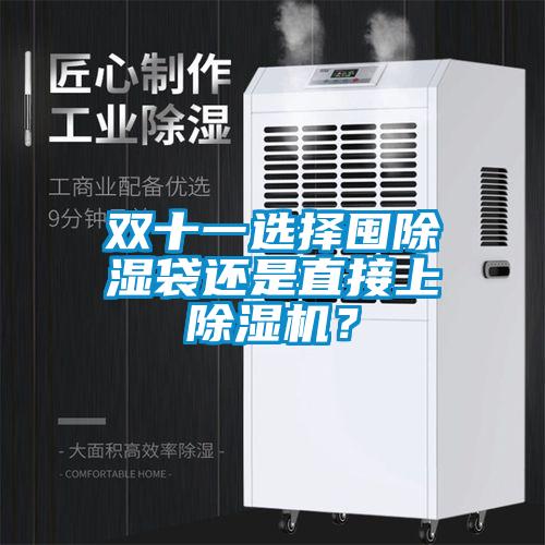 雙十一選擇囤除濕袋還是直接上除濕機?
