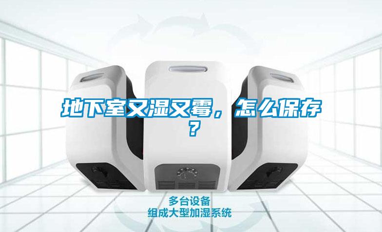 地下室又濕又霉,怎么保存?