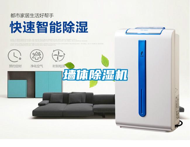 墻體除濕機(jī)