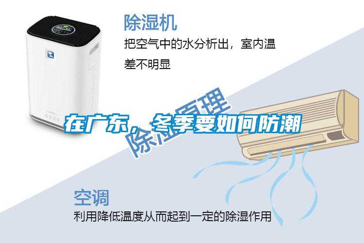 在廣東，冬季要如何防潮