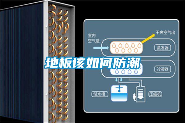 地板該如何防潮