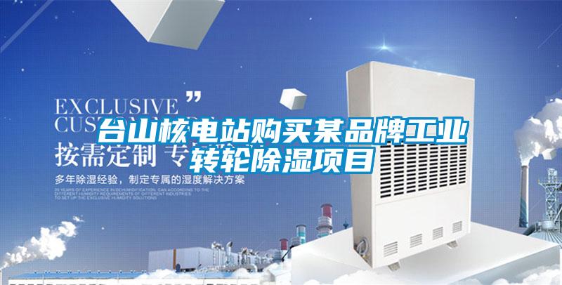 臺山核電站購買某品牌工業轉輪除濕項目