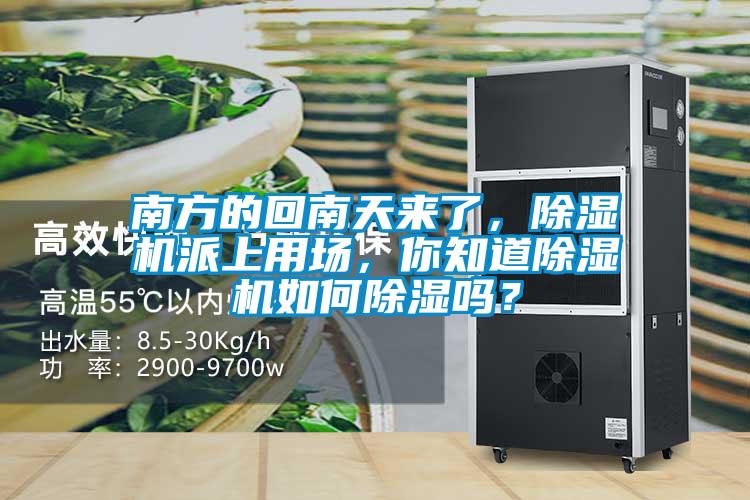 南方的回南天來了,除濕機派上用場,你知道除濕機如何除濕嗎?