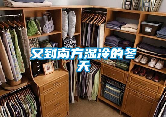 又到南方濕冷的冬天