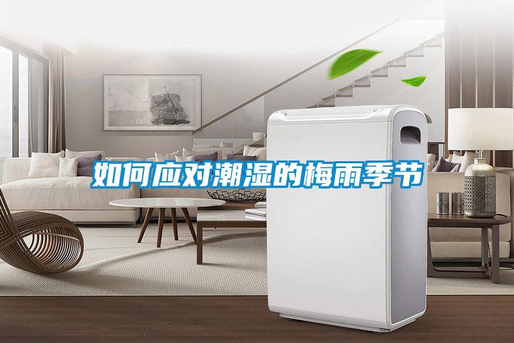 如何應對潮濕的梅雨季節