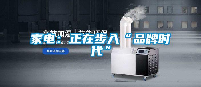 家電:正在步入“品牌時代”