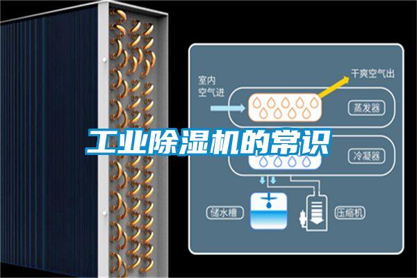 工業除濕機的常識