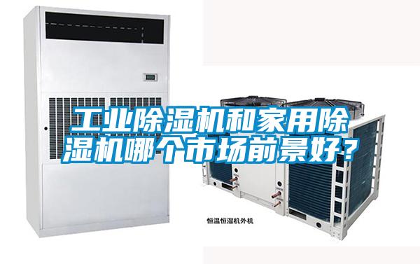 工業(yè)除濕機和家用除濕機哪個市場前景好？