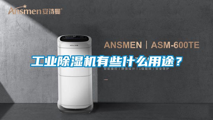 工業除濕機有些什么用途?