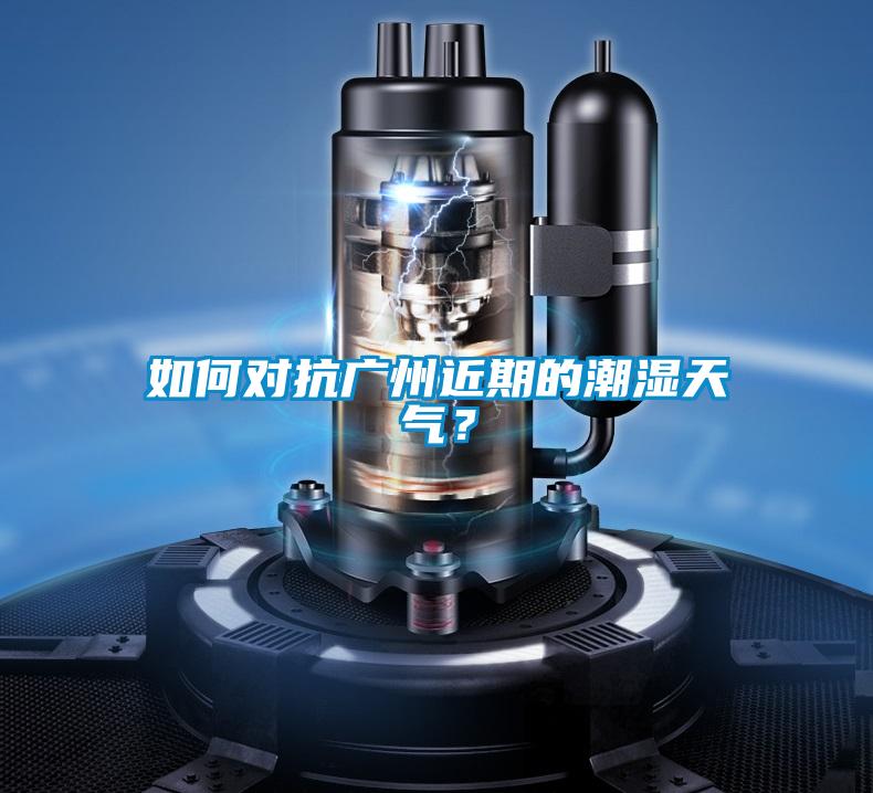 如何對抗廣州近期的潮濕天氣?