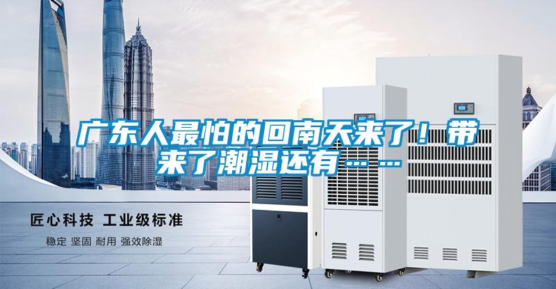 廣東人最怕的回南天來(lái)了!帶來(lái)了潮濕還有……