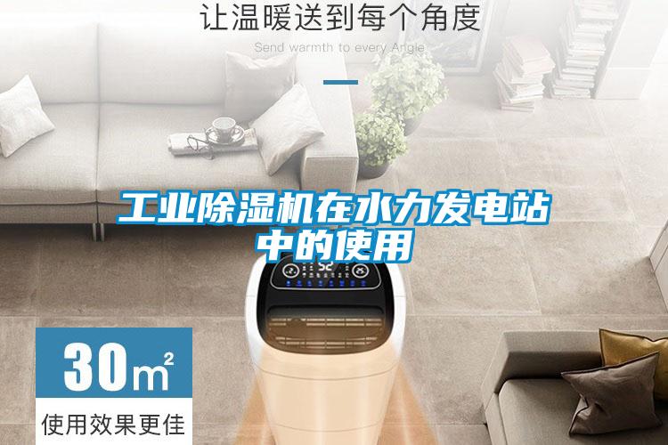工業(yè)除濕機(jī)在水力發(fā)電站中的使用