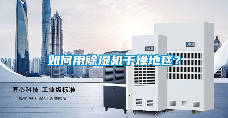 如何用除濕機干燥地毯?