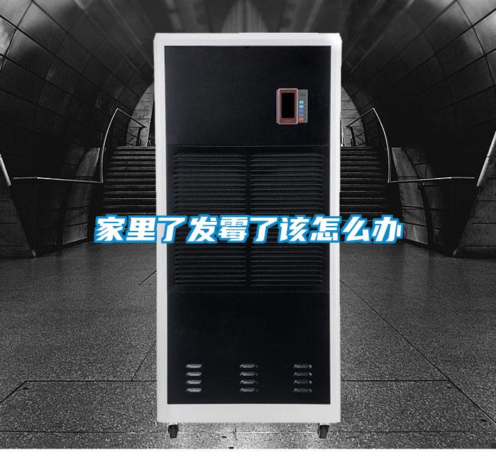 家里了發霉了該怎么辦