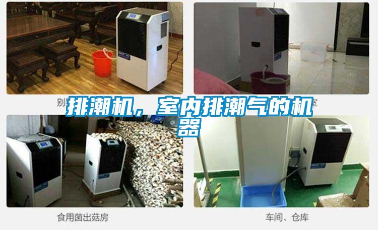 排潮機(jī),室內(nèi)排潮氣的機(jī)器