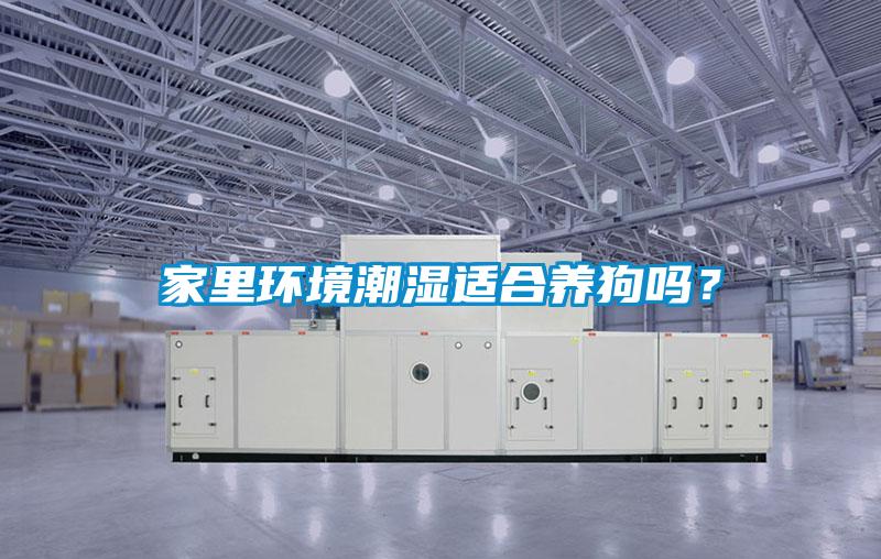 家里環境潮濕適合養狗嗎?