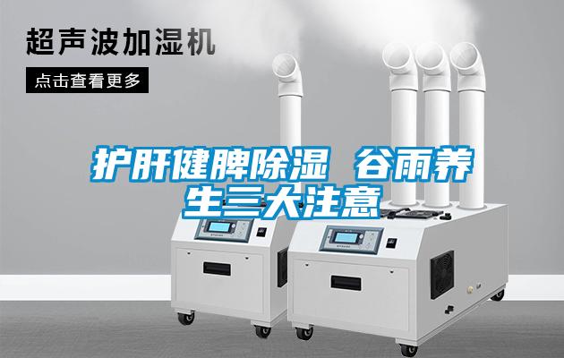 護肝健脾除濕 谷雨養生三大注意