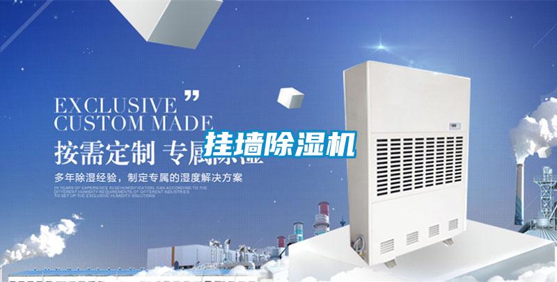 掛墻除濕機(jī)