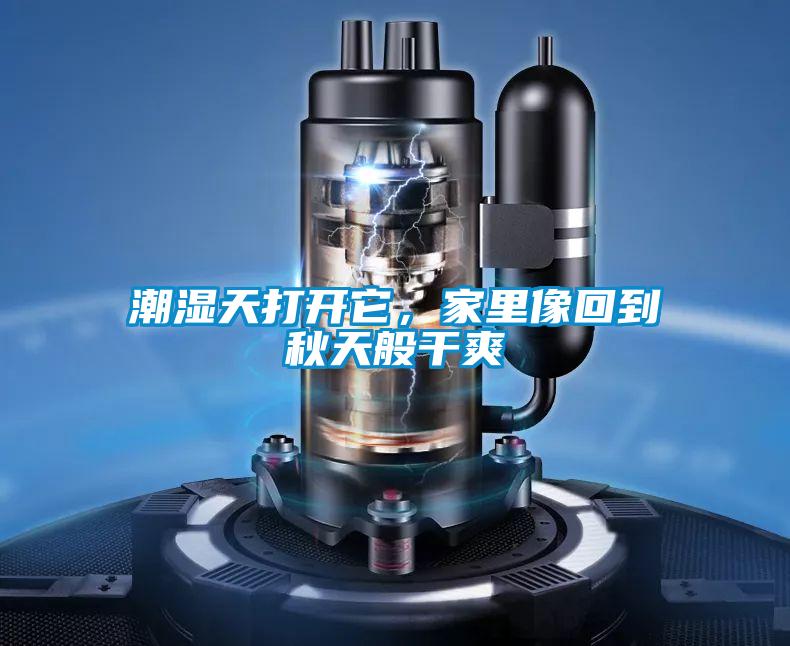 潮濕天打開它,家里像回到秋天般干爽