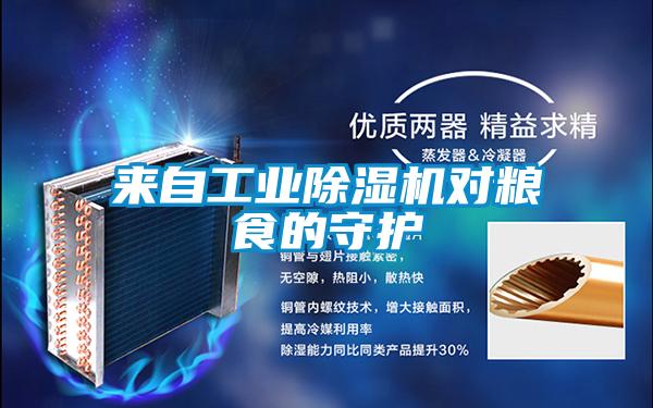 來自工業除濕機對糧食的守護