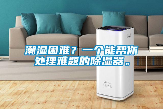 潮濕困難?一個能幫你處理難題的除濕器。