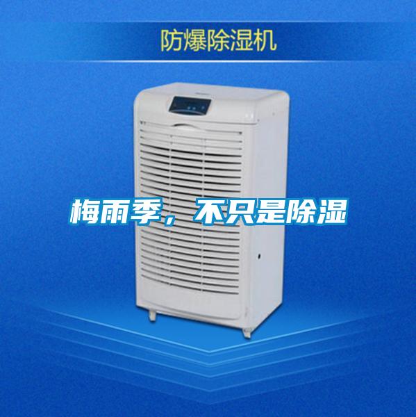 梅雨季,不只是除濕