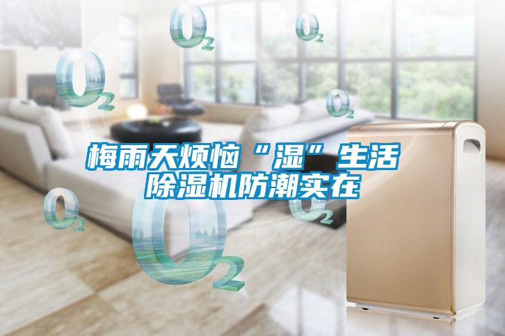 梅雨天煩惱“濕”生活 除濕機(jī)防潮實(shí)在