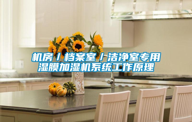機房/檔案室/潔凈室專用濕膜加濕機系統工作原理