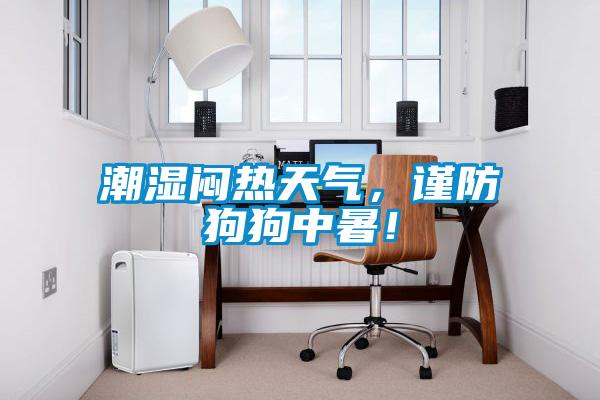 潮濕悶熱天氣,謹(jǐn)防狗狗中暑!