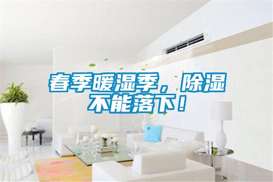 春季暖濕季，除濕不能落下！